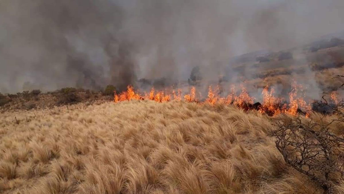Argentina en alerta: riesgo extremo por incendios forestales en 10 provincias