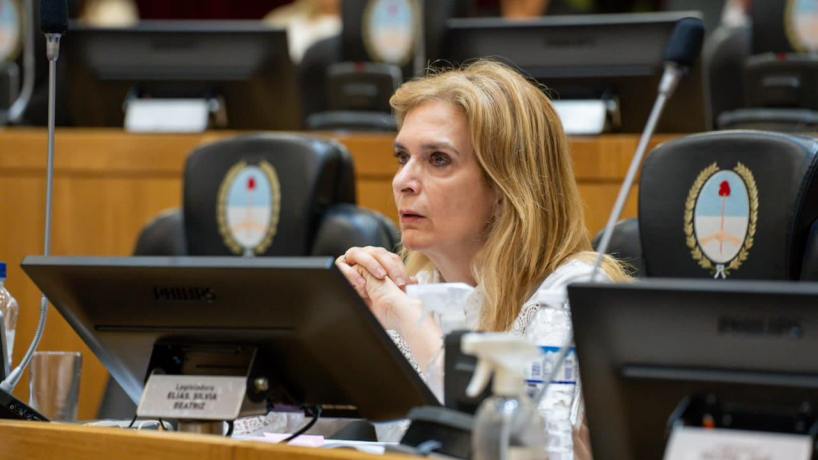 Elías de Pérez cuestionó el veto parcial de Jaldo a una ley impositiva y advirtió sobre mayor discrecionalidad fiscal