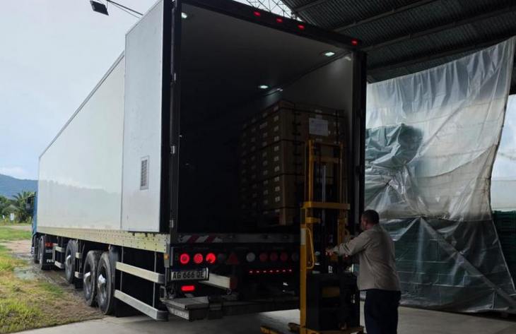 Tucumán inaugura su exportación de hortalizas gourmet con el envío de ajíes y pepinos a Francia