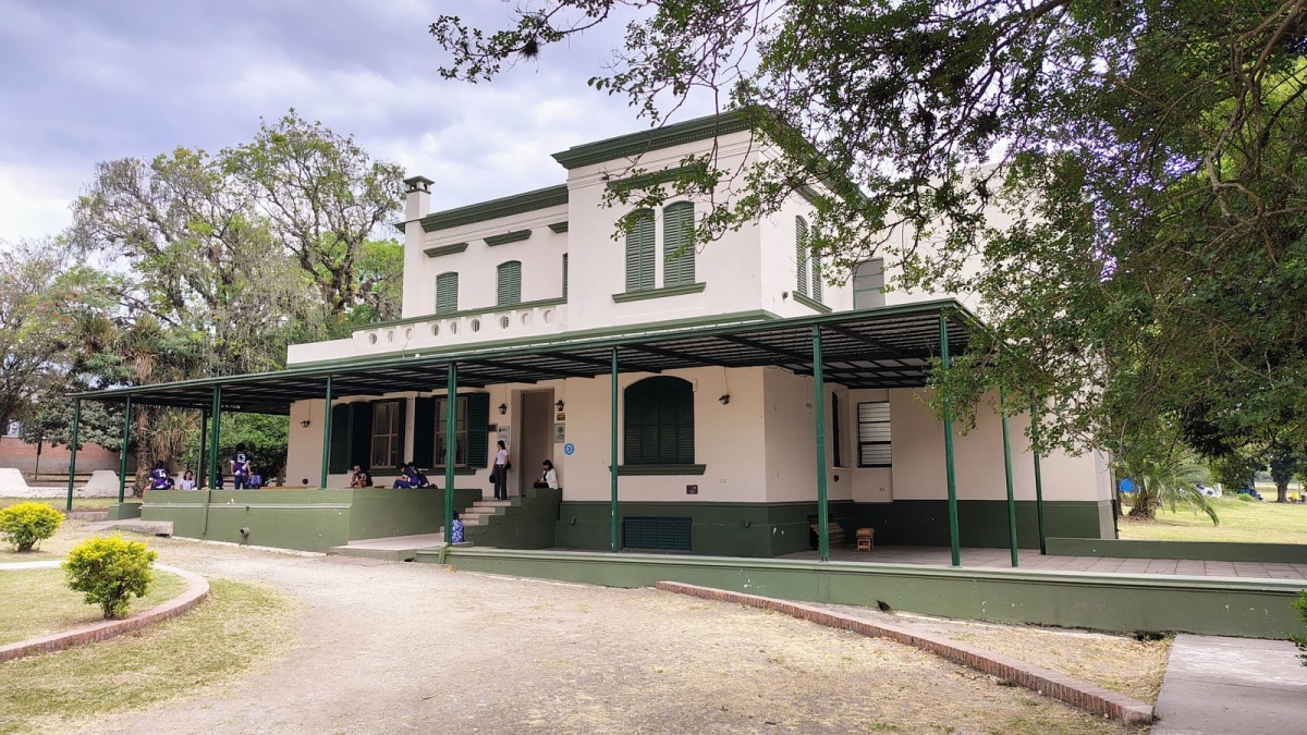 WhatsApp Image 2026-01-05 at 15.23.22.jpeg