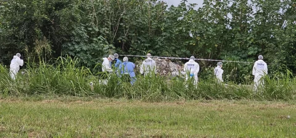 Conmoción en Manantial Sur: la autopsia confirmó el violento homicidio de una joven