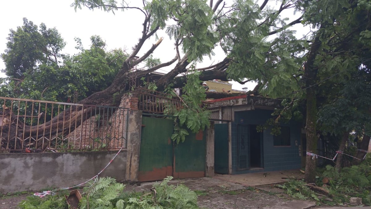 WhatsApp Image 2026-01-14 at 10.32.44.jpeg