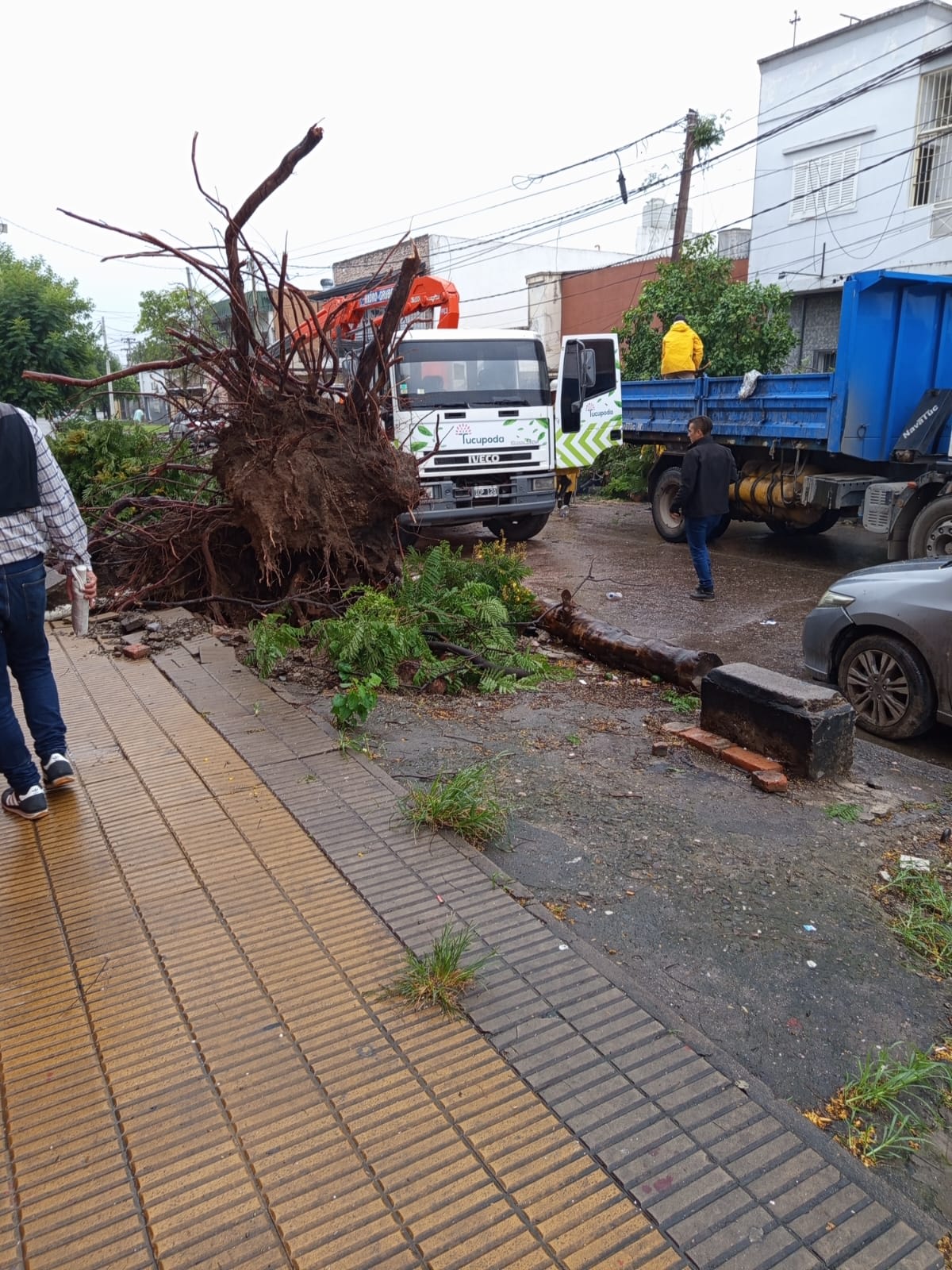 WhatsApp Image 2026-01-14 at 11.31.11.jpeg