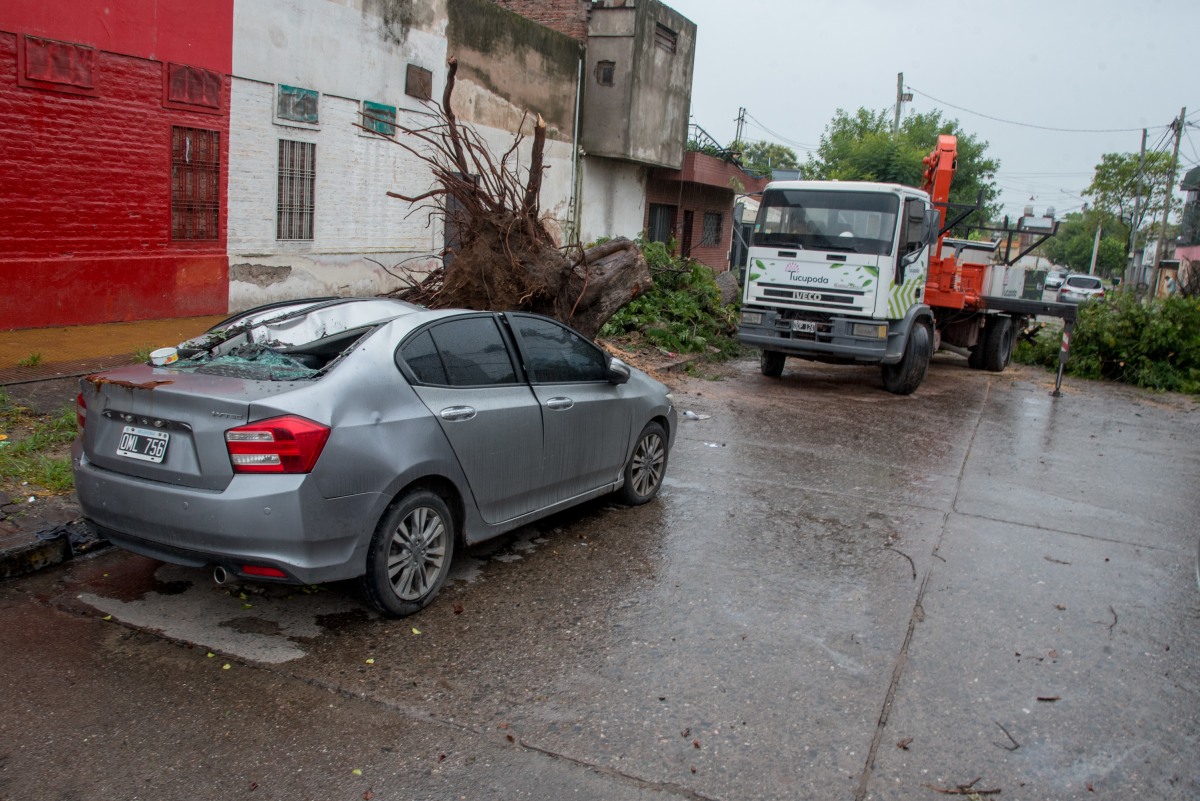 DSC_3413.jpg DSC_3413.jpg