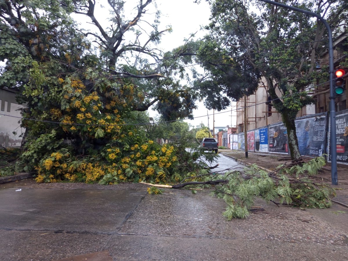 WhatsApp Image 2026-01-14 at 11.29.36.jpeg WhatsApp Image 2026-01-14 at 11.29.36.jpeg