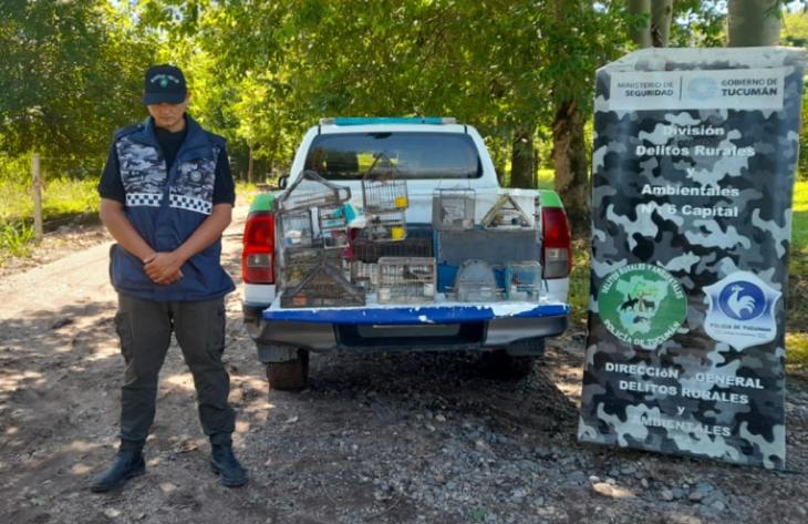 Rescatan más de 40 aves silvestres que permanecían en cautiverio en Tapia y Burruyacú