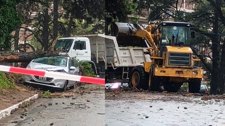 Pinamar bajo un violento temporal: tormenta de arena y destrozos en pleno centro