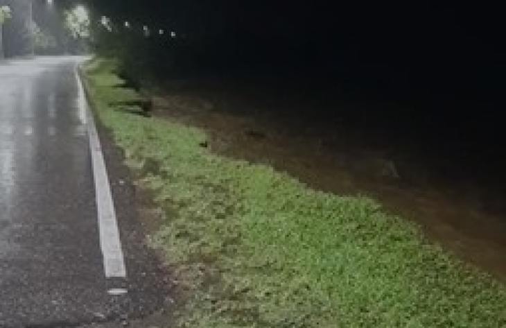 Lluvias intensas: mantienen operativos activos en rutas y ciudades tucumanas