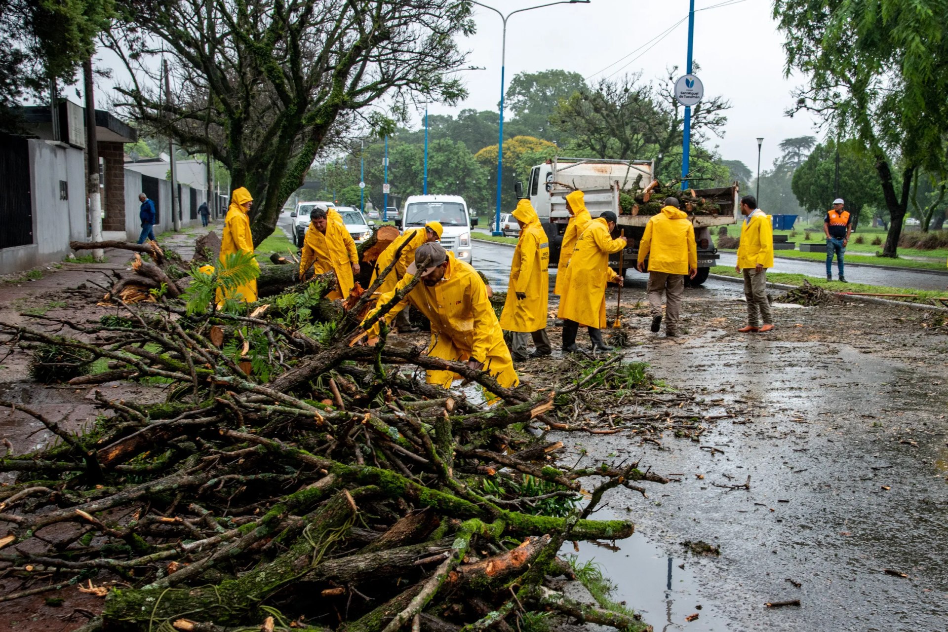 El temporal dejó caída de árboles y daños en el cableado en la Capital tras más de 130 mm de lluvia