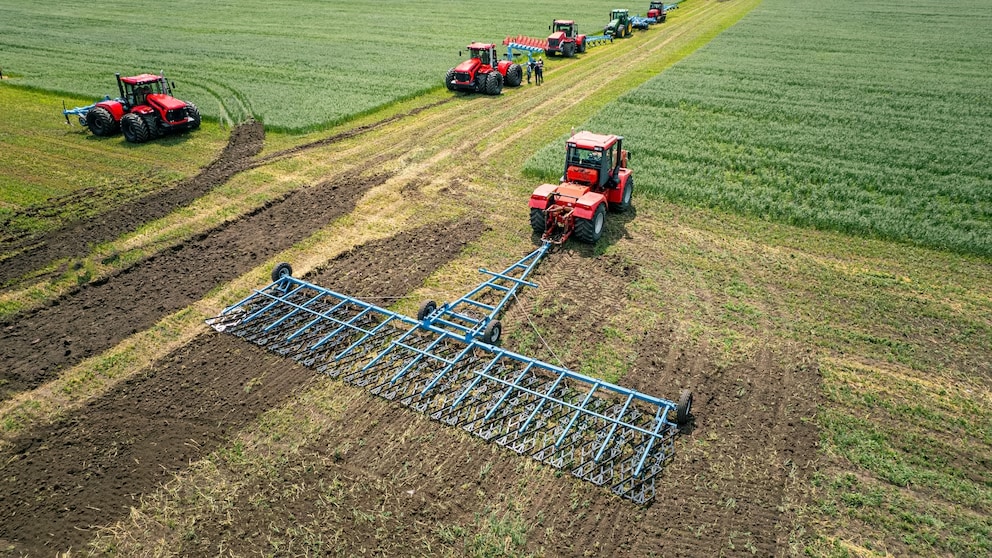 La actividad económica cayó 0,3% en noviembre, pero quedó en terreno positivo en el acumulado de 2025