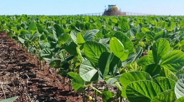 Argentina alcanzó en 2025 un récord de exportaciones agroindustriales en toneladas