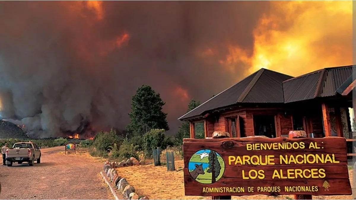 Anuncian la intervención del Parque Nacional Los Alerces por los incendios forestales