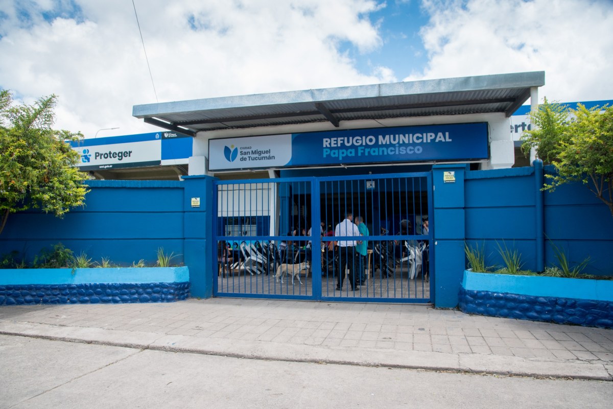 WhatsApp Image 2026-01-27 at 14.35.06 (1).jpeg WhatsApp Image 2026-01-27 at 14.35.06 (1).jpeg