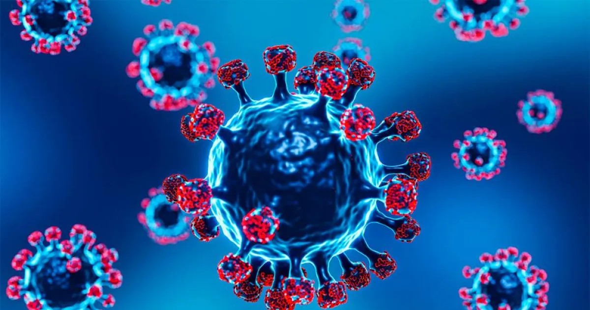 2130908.webp 2130908.webp