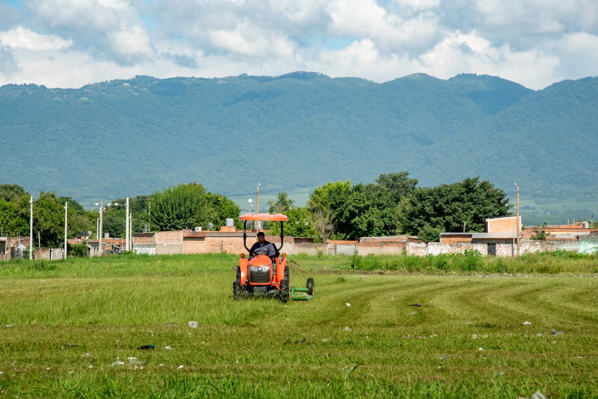 multimedia.grande.b135a661c653fc21.Z3JhbmRlLndlYnA=.webp multimedia.grande.b135a661c653fc21.Z3JhbmRlLndlYnA=.webp