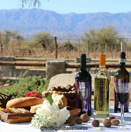 ruta vino tucuman.jpg