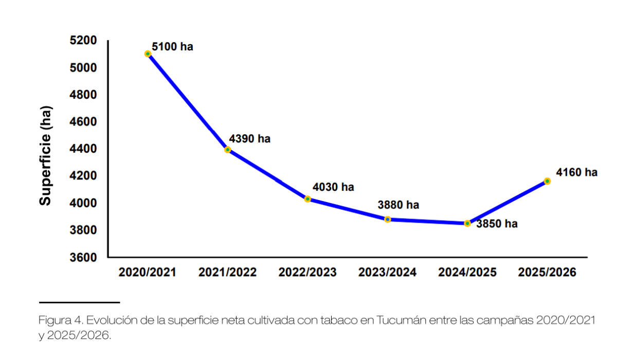 Captura de pantalla 2026-02-02 172644.png