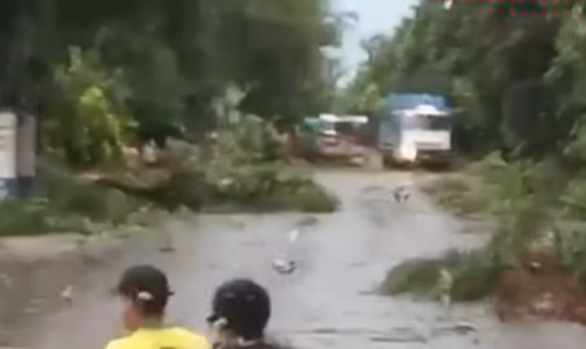 Árboles caídos y demoras: la tormenta dejó intransitable la Ruta 304