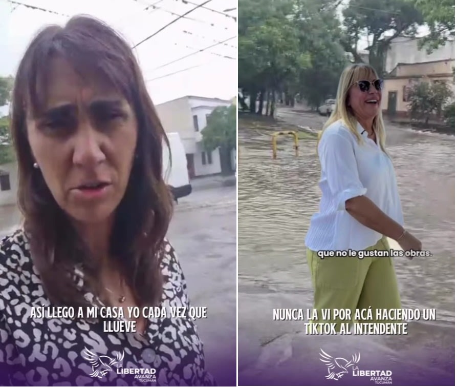 Captura de pantalla 2026-02-06 173526.jpg