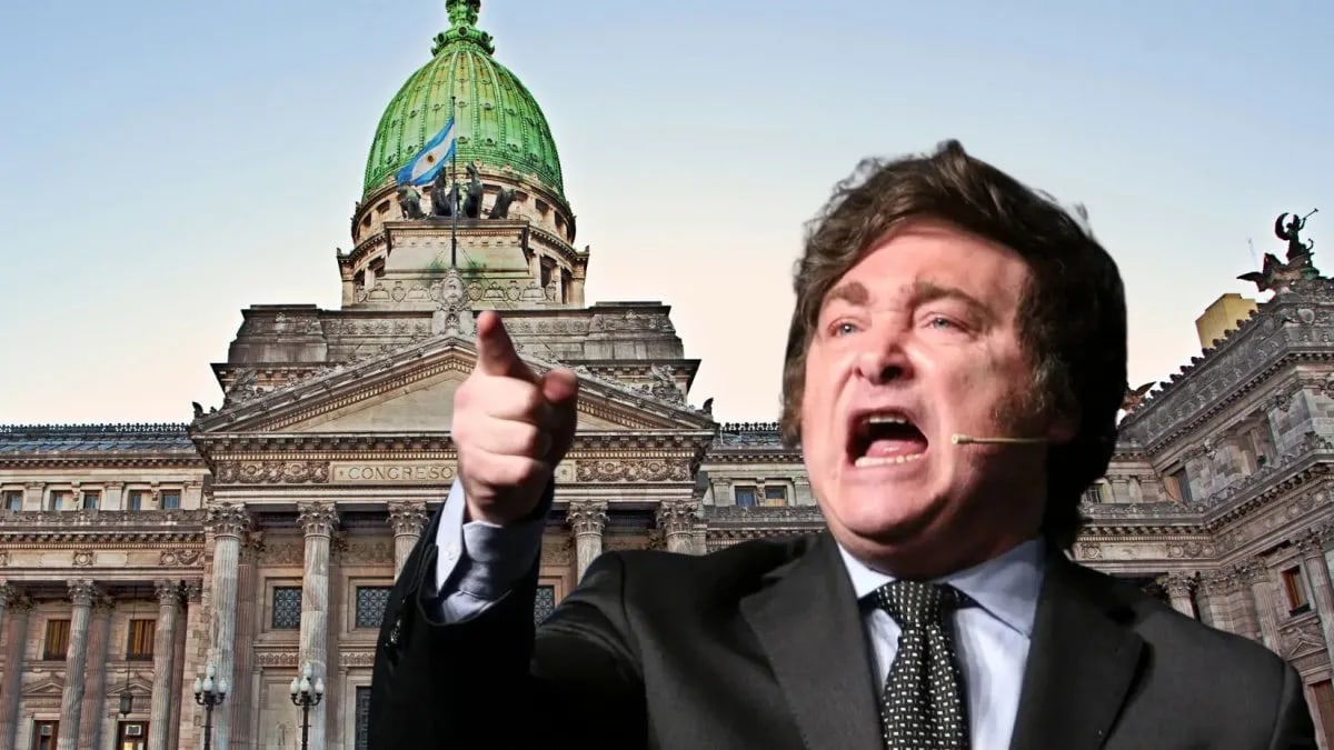 El Ejecutivo avanza sobre las facultades del Congreso: 11 DNU en apenas dos meses de receso