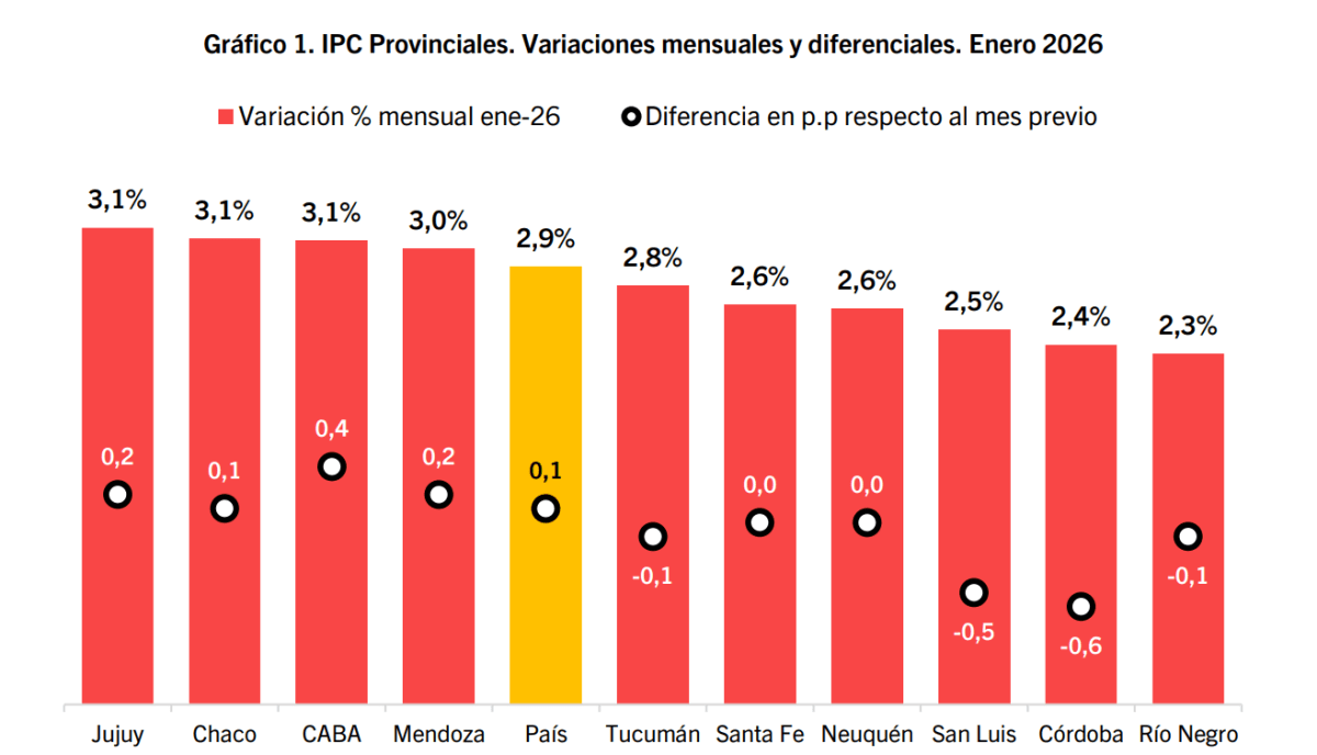 Captura de pantalla 2026-02-13 114806.png