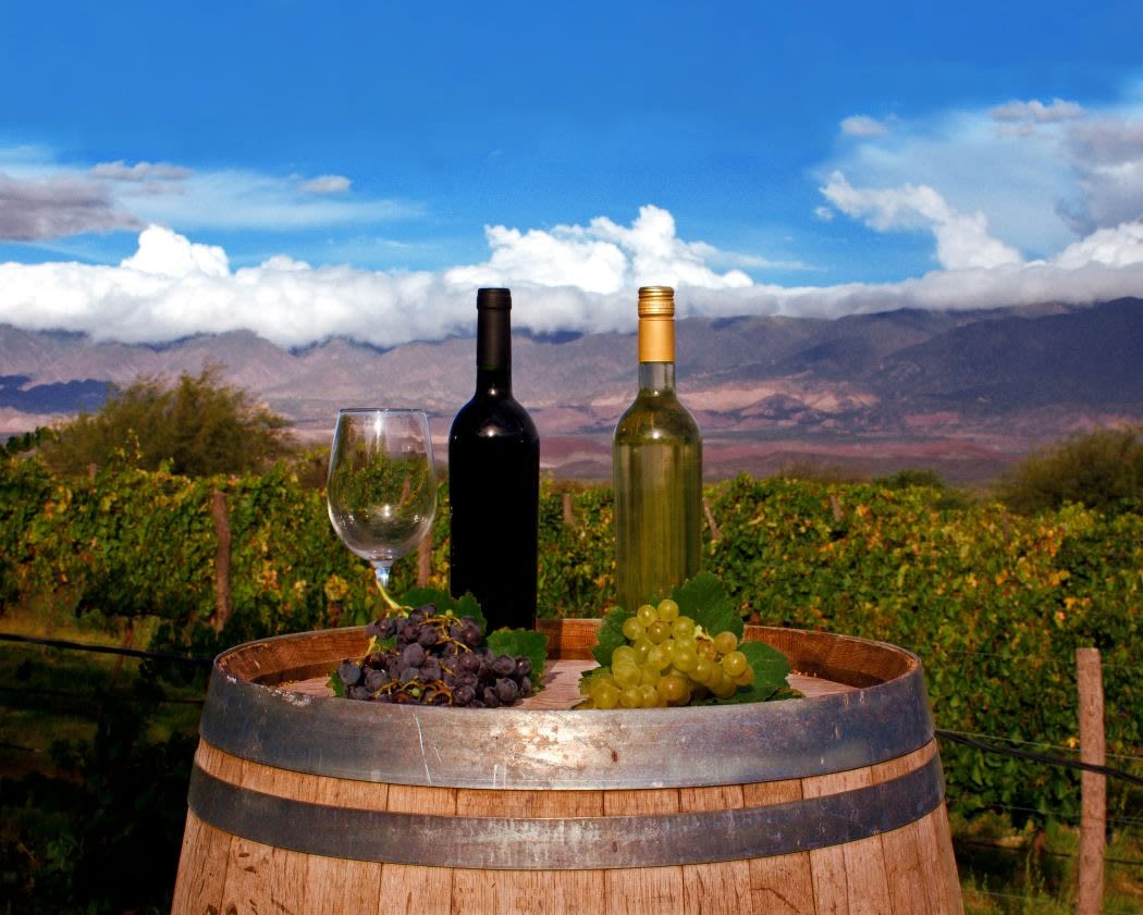 Vino, cultura y turismo: llega la Fiesta Provincial de la Vendimia a Colalao del Valle