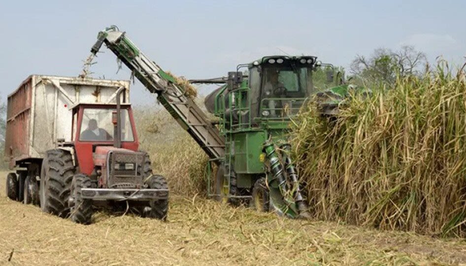 Productores cañeros reivindican la maquila para garantizar transparencia y previsibilidad