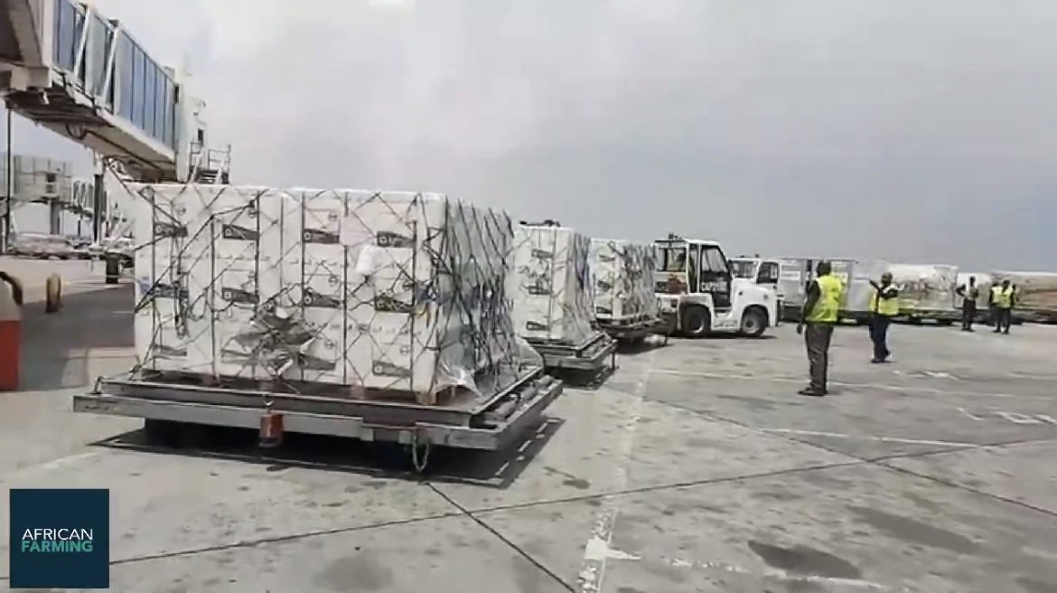 Vacunas argentinas llegan a Sudáfrica para contener un brote de fiebre aftosa