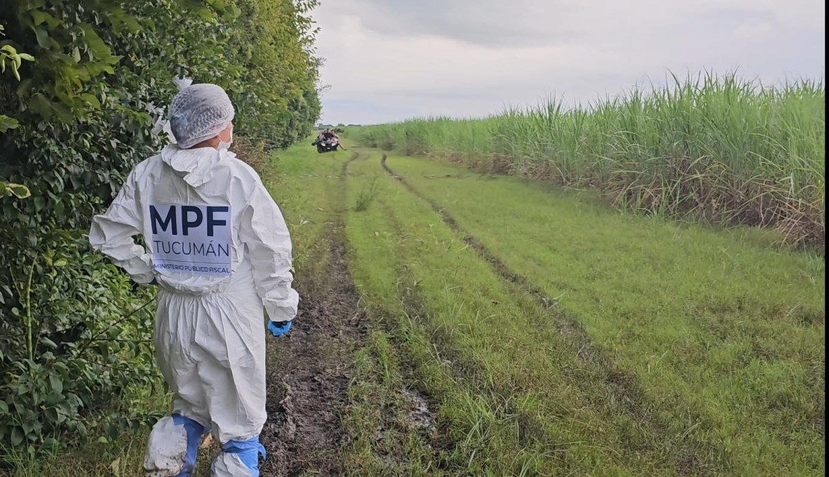 WhatsApp Image 2026-02-22 at 8.47.57 PM.jpeg