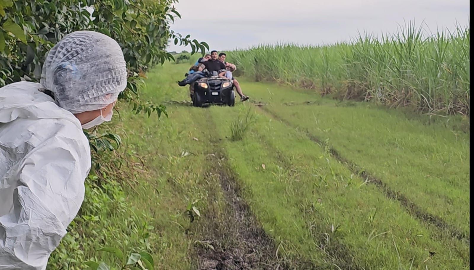 Hallaron con vida a Luis Bueso tras tres días de intensa búsqueda en Famaillá