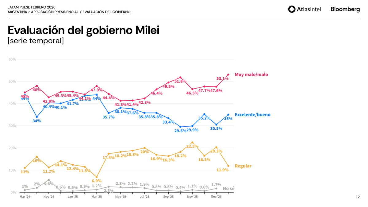 encuesta milei febrero.jfif encuesta milei febrero.jfif