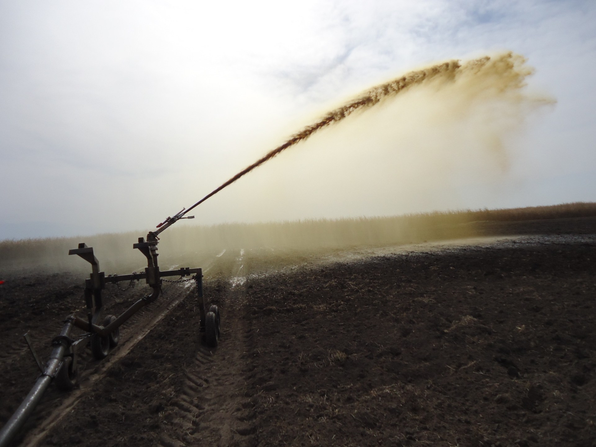 Cómo la ciencia tucumana transformó un residuo en recurso productivo: avances y nuevos desafíos
