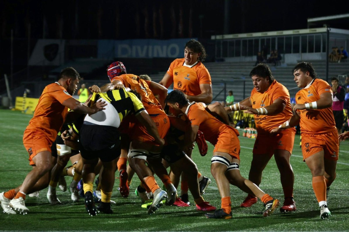 WhatsApp Image 2026-02-27 at 21.55.45.jpeg