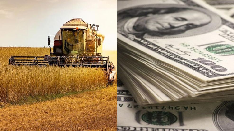 Fuerte caída en la liquidación de dólares del agro durante febrero