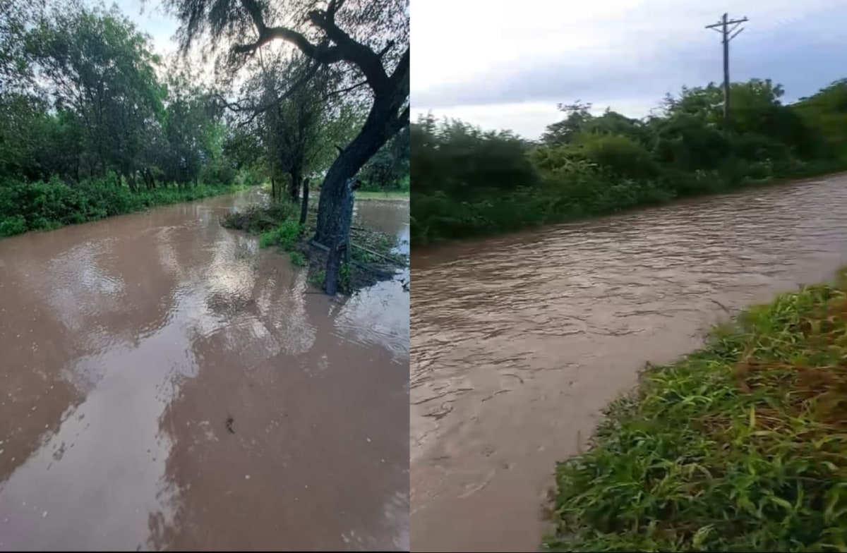 WhatsApp Image 2026-03-06 at 15.42.49.jpg