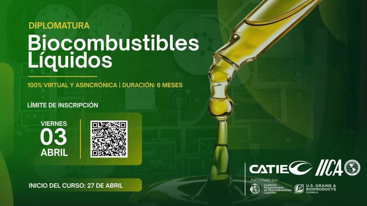 WhatsApp Image 2026-03-09 at 12.13.41.jpeg