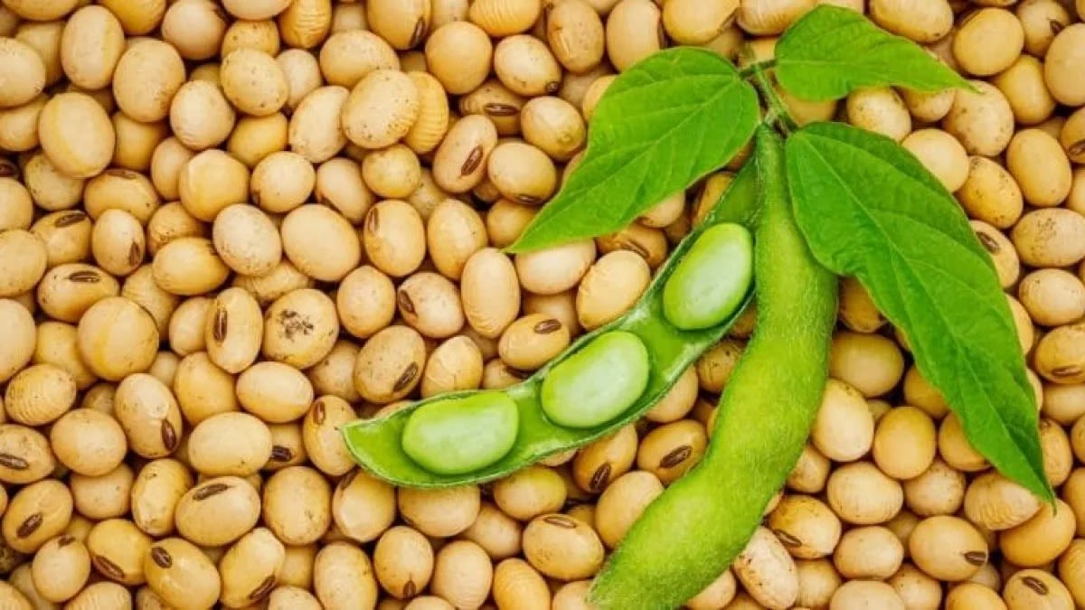 El conflicto en Medio Oriente vuelve a sacudir los precios de la soja