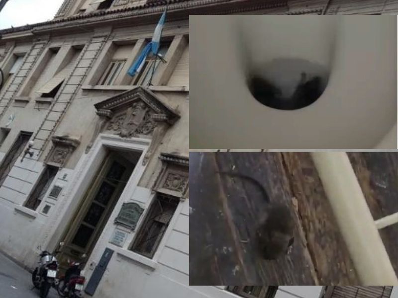 “Años de desidia”: Pelli y Molinuevo criticaron la gestión educativa de la provincia