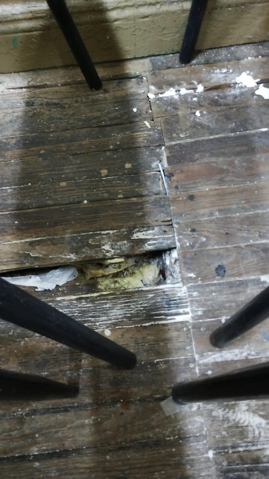 WhatsApp Image 2026-03-10 at 09.51.31.jpeg