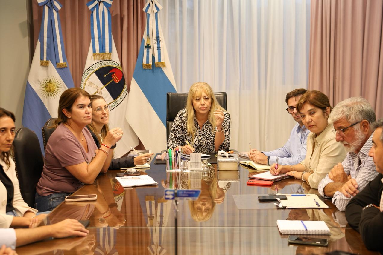 Temporal en la capital: Chahla reunió al Comité de Emergencia y coordinó nuevos operativos