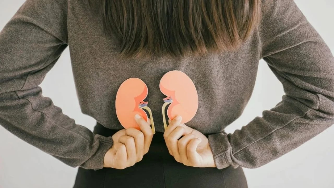 Día Mundial del Riñón: promueven la prevención y el diagnóstico temprano de la enfermedad renal