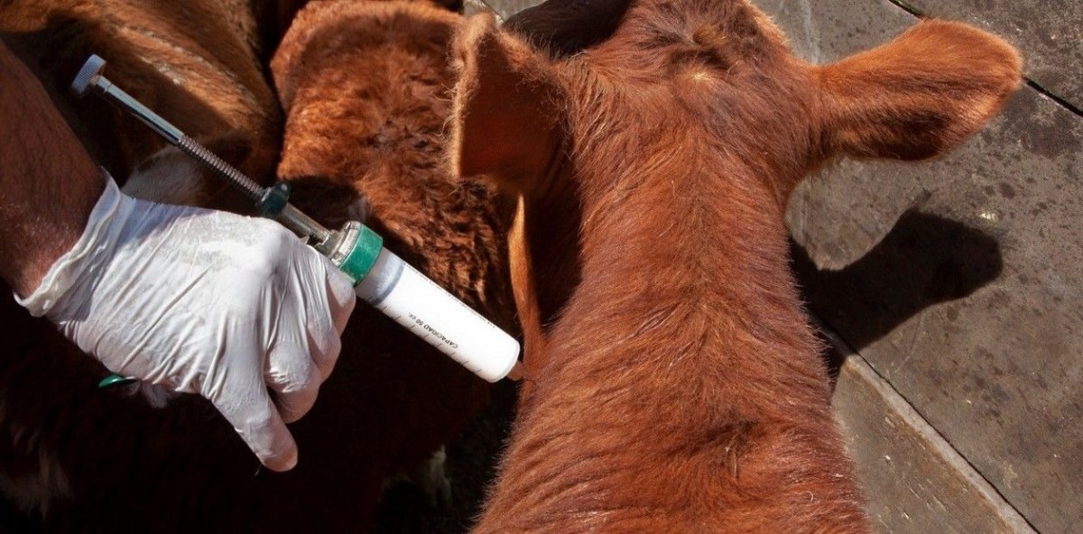 hWz6C67az_1256x620__1-6d53454b.jpg hWz6C67az_1256x620__1-6d53454b.jpg