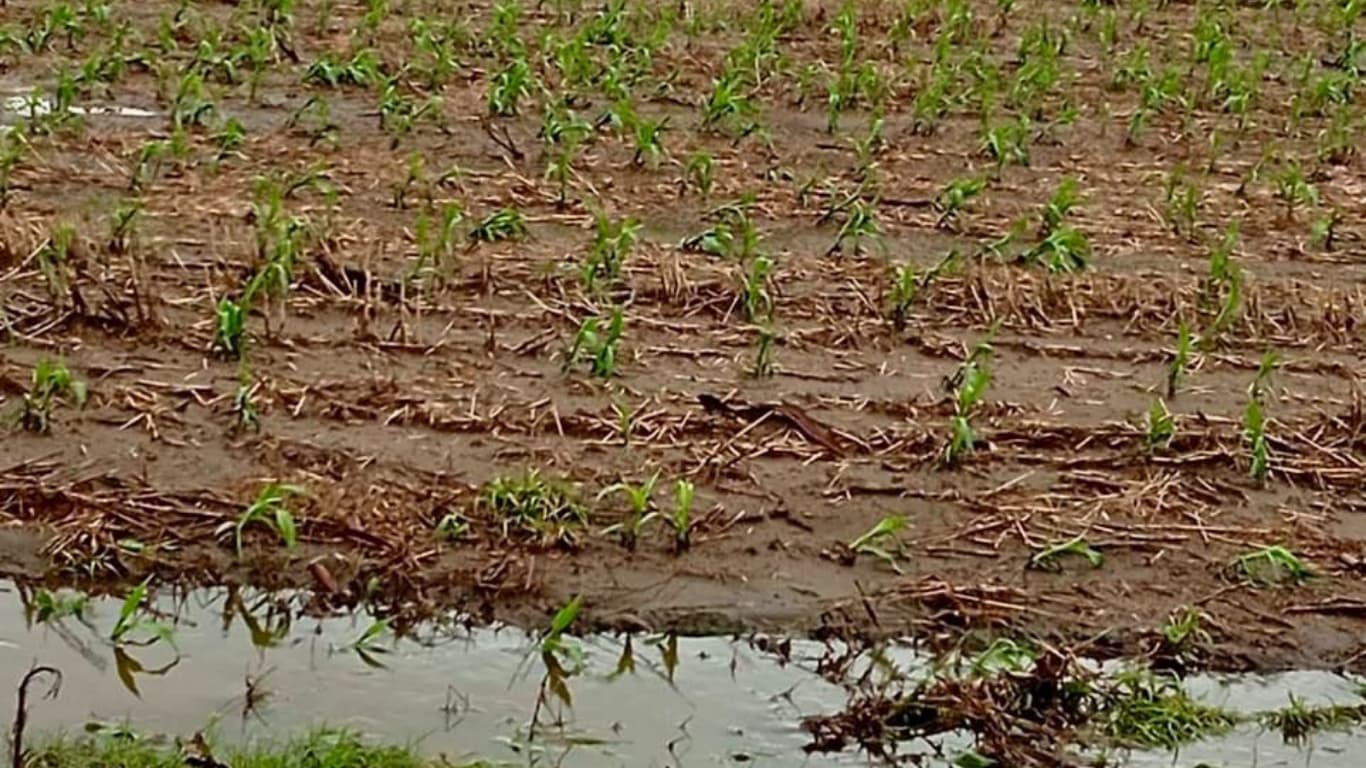 Tras el temporal, el campo pide obras hídricas para evitar nuevas tragedias
