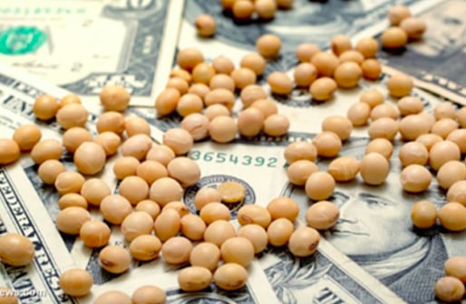 Prevén una cosecha récord, pero el ingreso de divisas del agro se mantendría estable