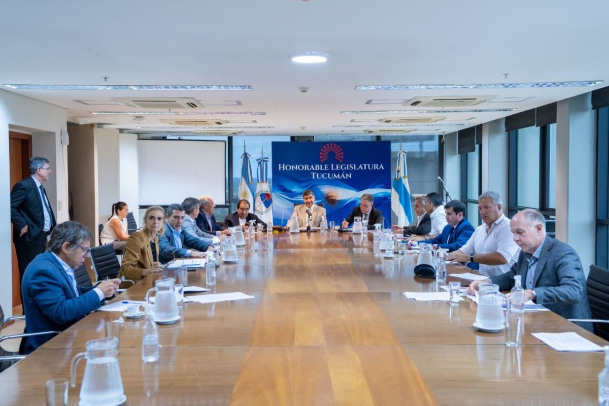 labor parlamentaria emergencia economica.jpeg labor parlamentaria emergencia economica.jpeg