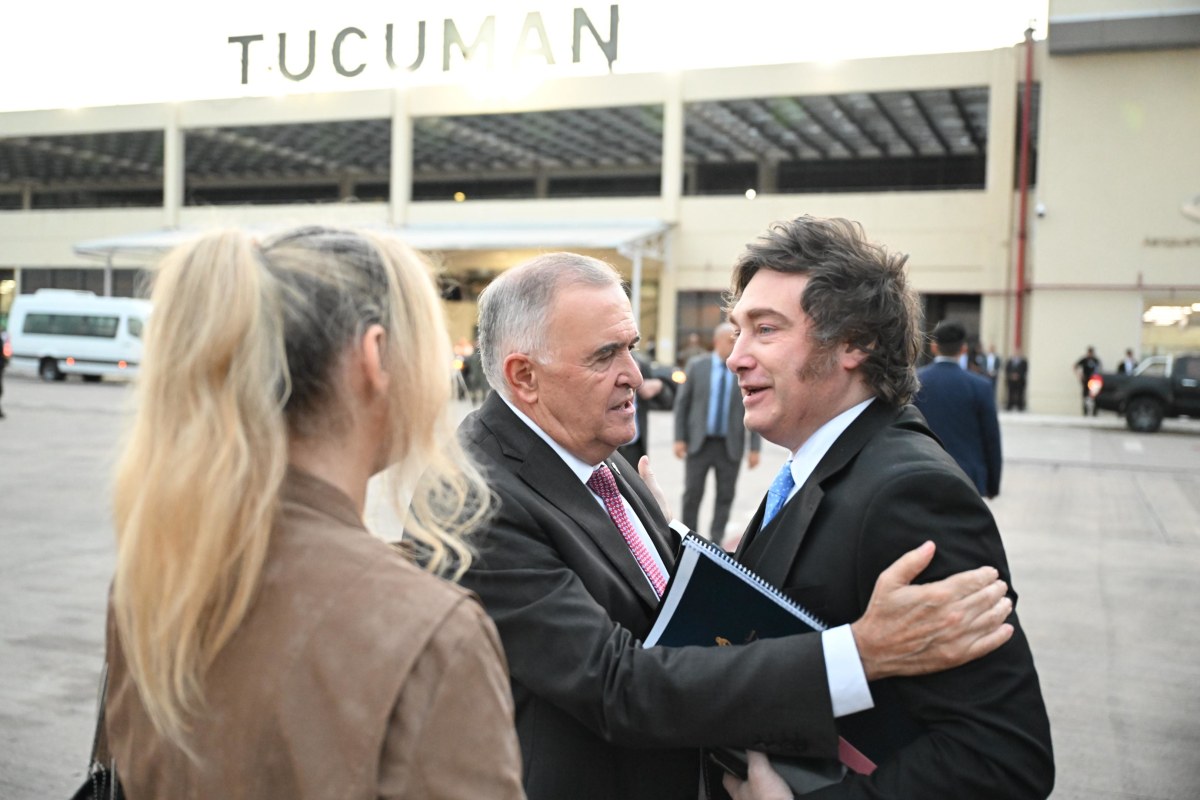 WhatsApp Image 2026-03-19 at 19.55.56.jpeg