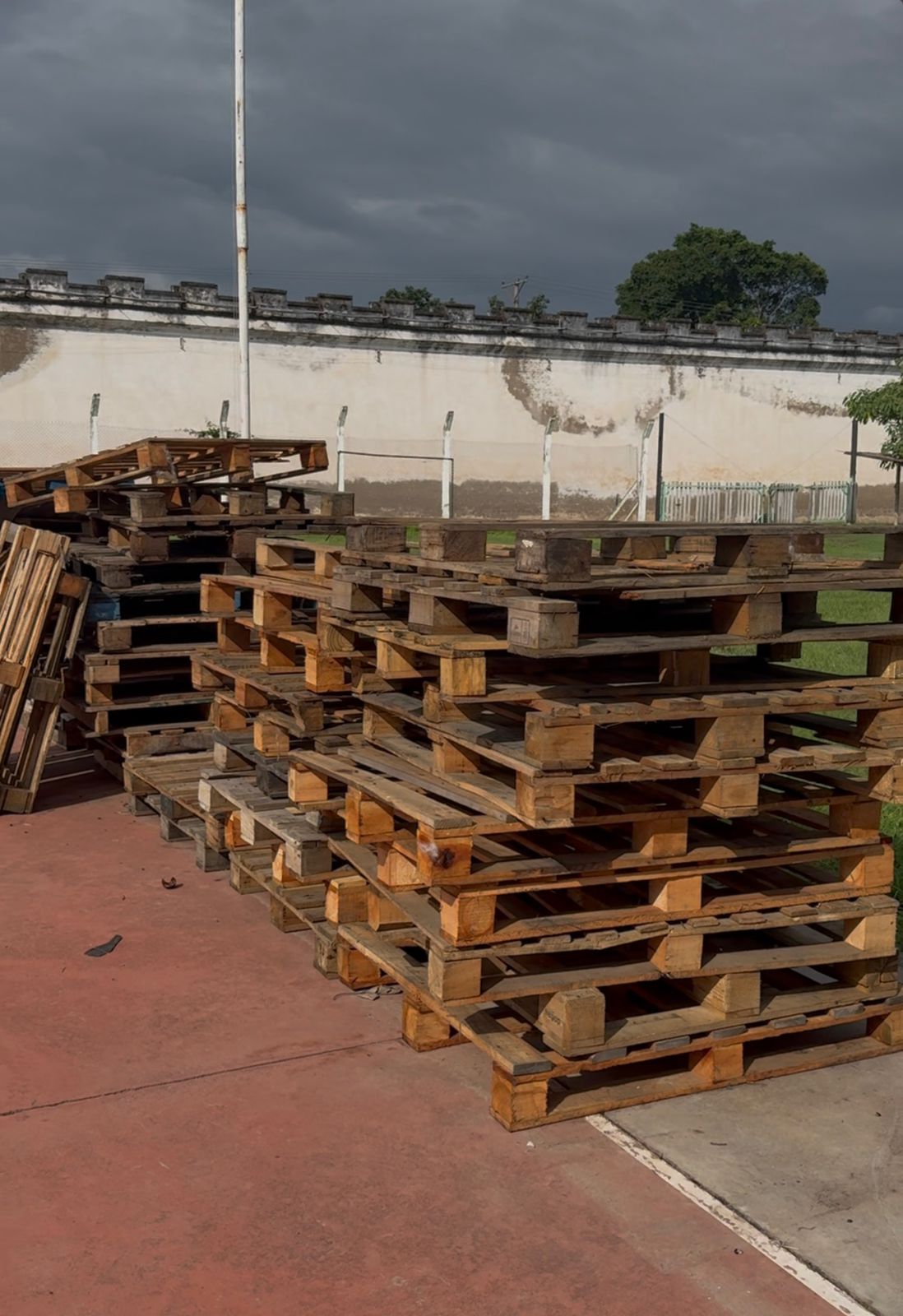 WhatsApp Image 2026-03-20 at 09.55.50.jpeg