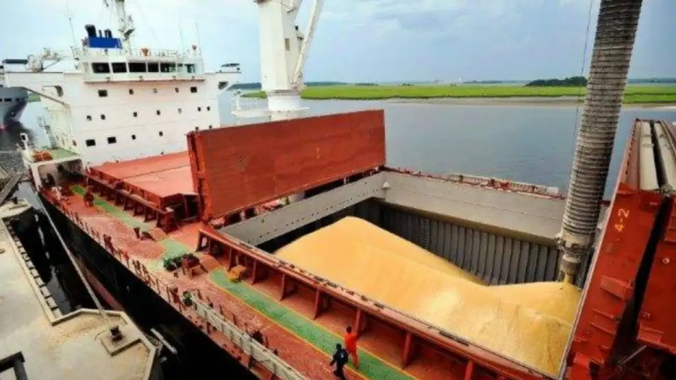 Malezas bajo la lupa: buscan evitar rechazos de granos argentinos en el exterior