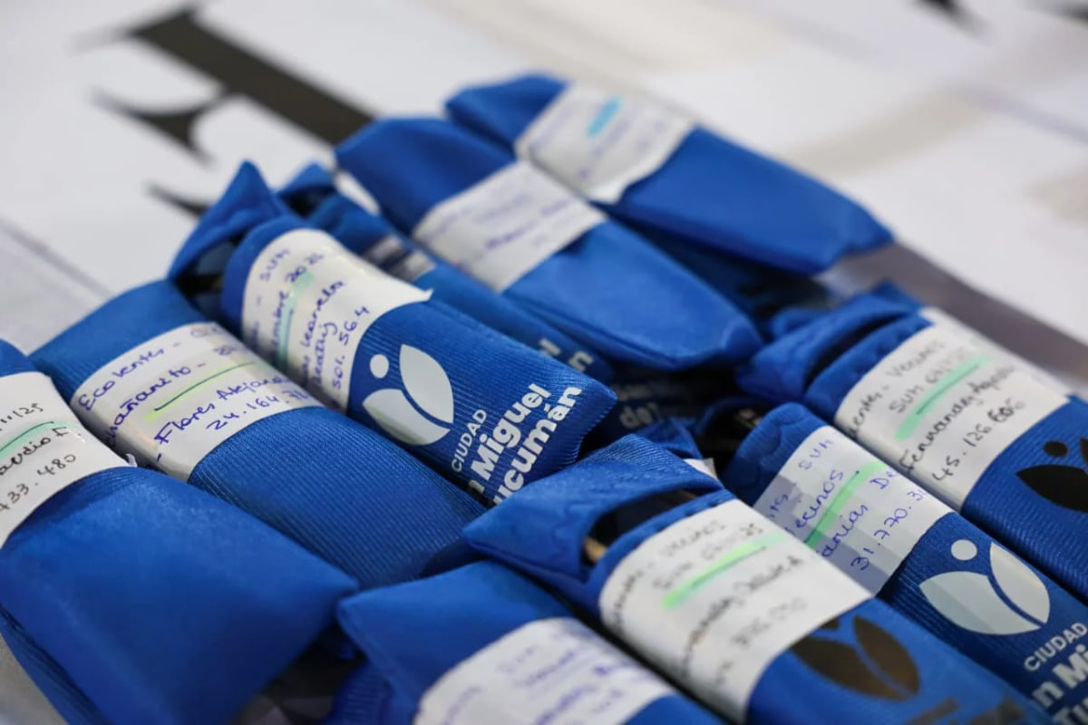 multimedia.normal.a6a914a31138128f.bm9ybWFsLndlYnA= (1).webp