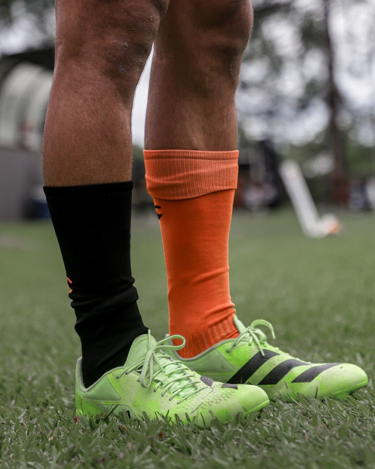 WhatsApp Image 2026-03-21 at 18.20.53.jpeg WhatsApp Image 2026-03-21 at 18.20.53.jpeg